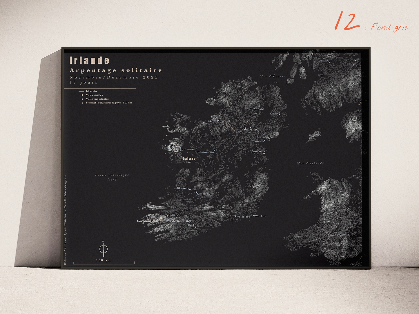 Carte de voyage personnalisée sur mesure parfait poster pour ta déco