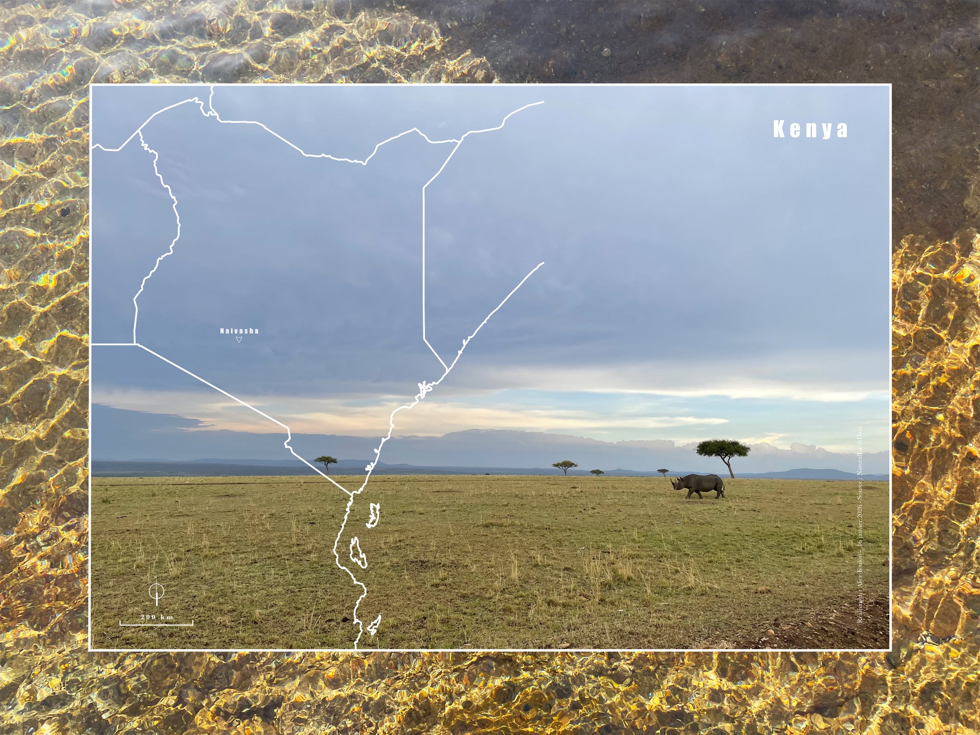 Carte de voyage personnalisée sur mesure sur graphisme et sur photographie