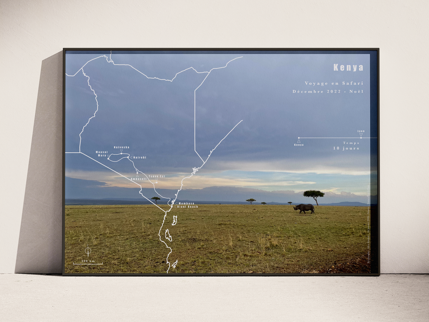 Carte de voyage personnalisée sur mesure parfait poster pour ta déco