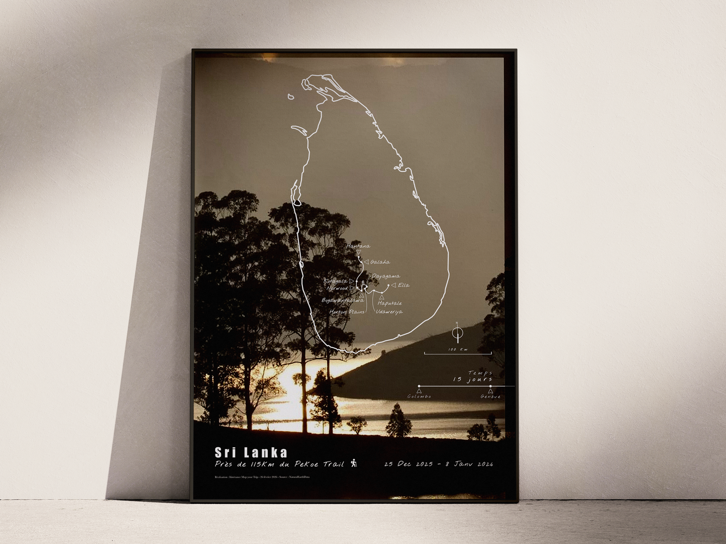 Carte de voyage personnalisée sur mesure parfait poster pour ta déco